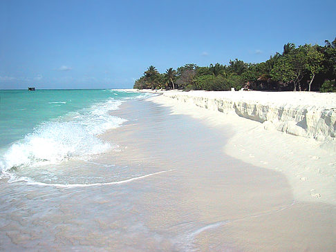 Fotos Der weiße Sandstrand der Malediven